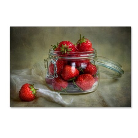 Trademark Fine Art